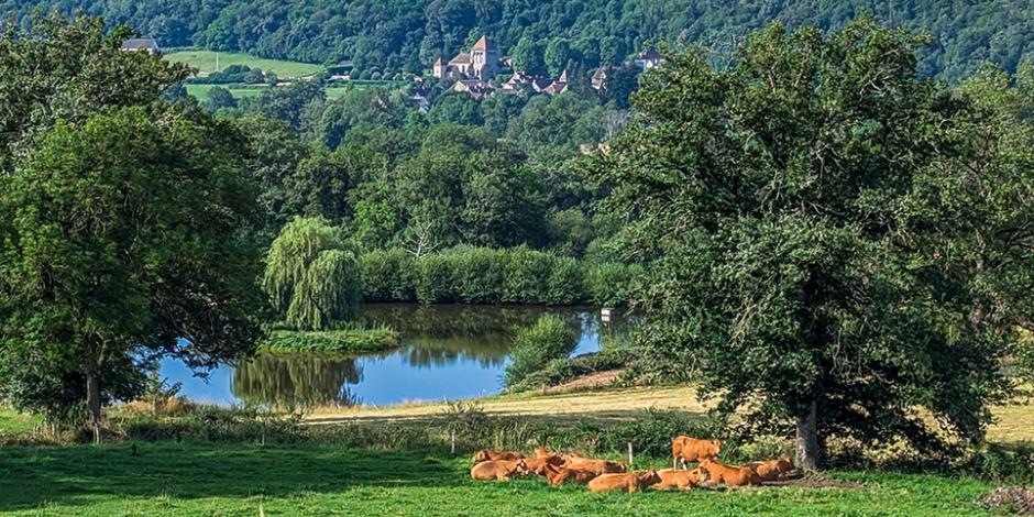Zone Creuse - Greenov Habitat Intervention Greenov Habitat en Creuse depuis Aubusson